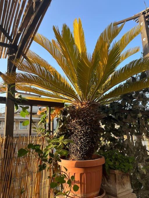 Apartament Da Giorgio E Teresa - Attico Con Terrazza A Piazza Del Popolo Rzym Zewnętrze zdjęcie